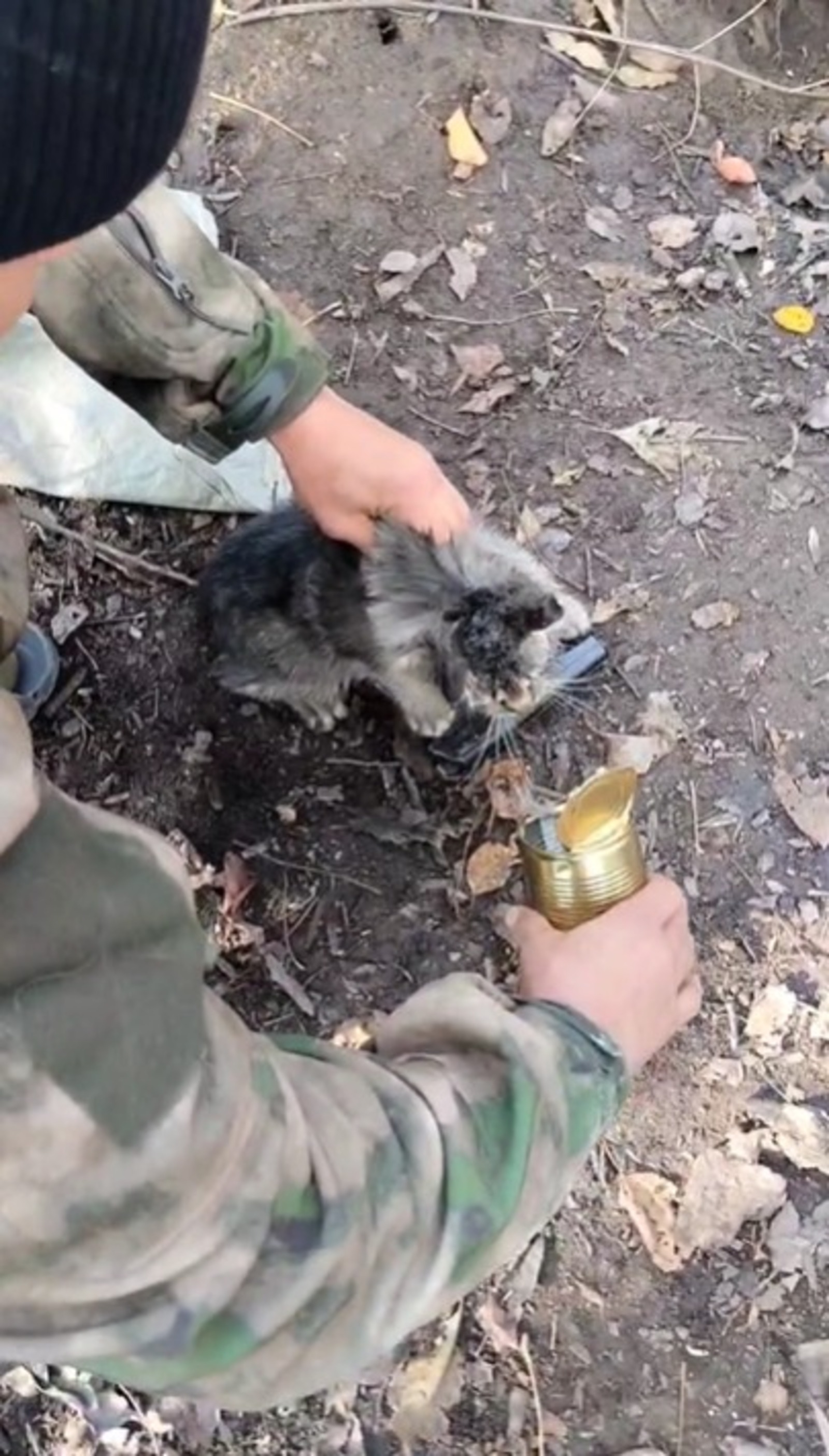 скриншот видео