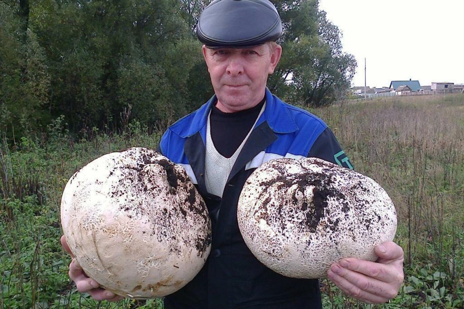 «Башинформ» мәғлүмәт агентлығы