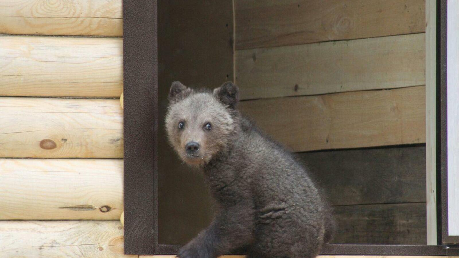 Национальный парк «Башкирия»
