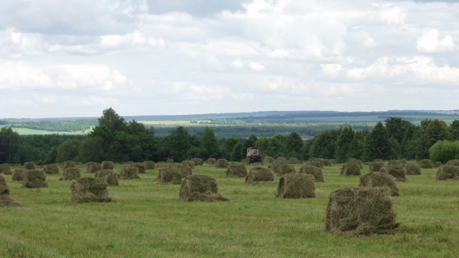 Минсельхоз РБ