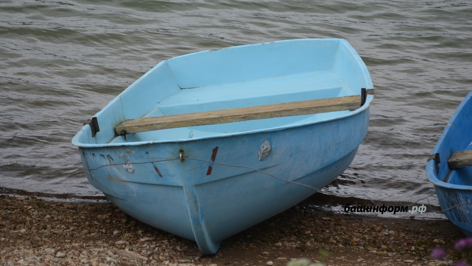 Ксения Калинина