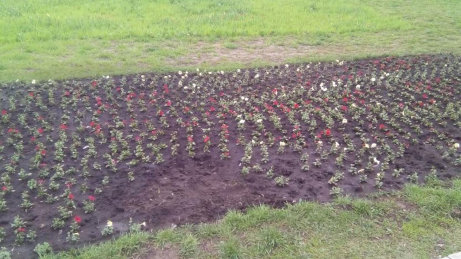 администрация Уфы