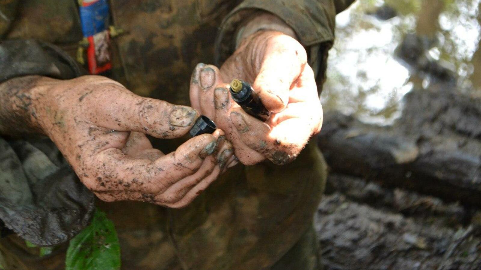 Поисковое движение России