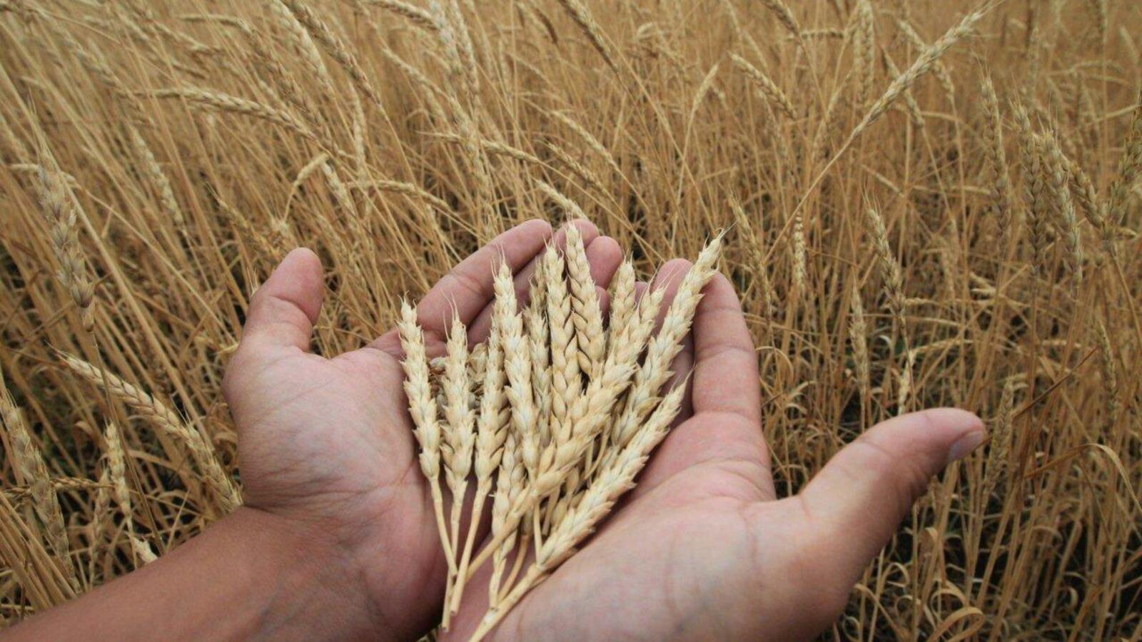 Национальный архив РБ