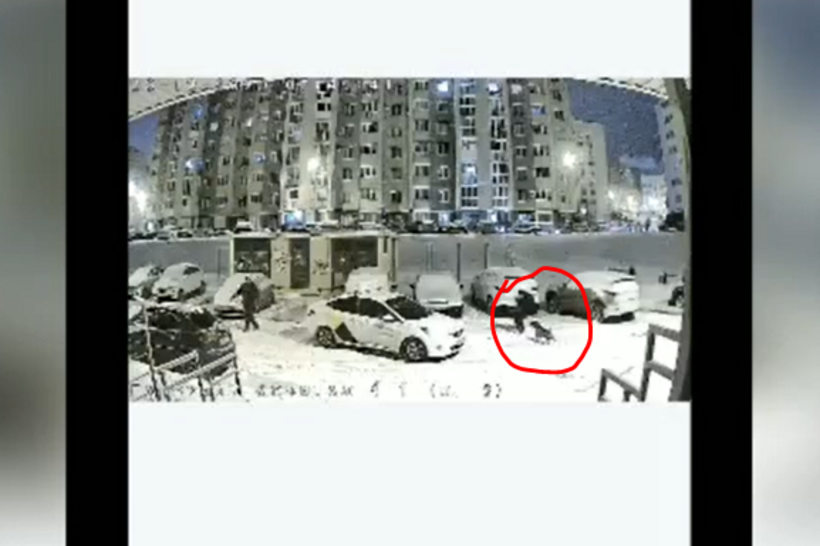 Стоп-кадр видео