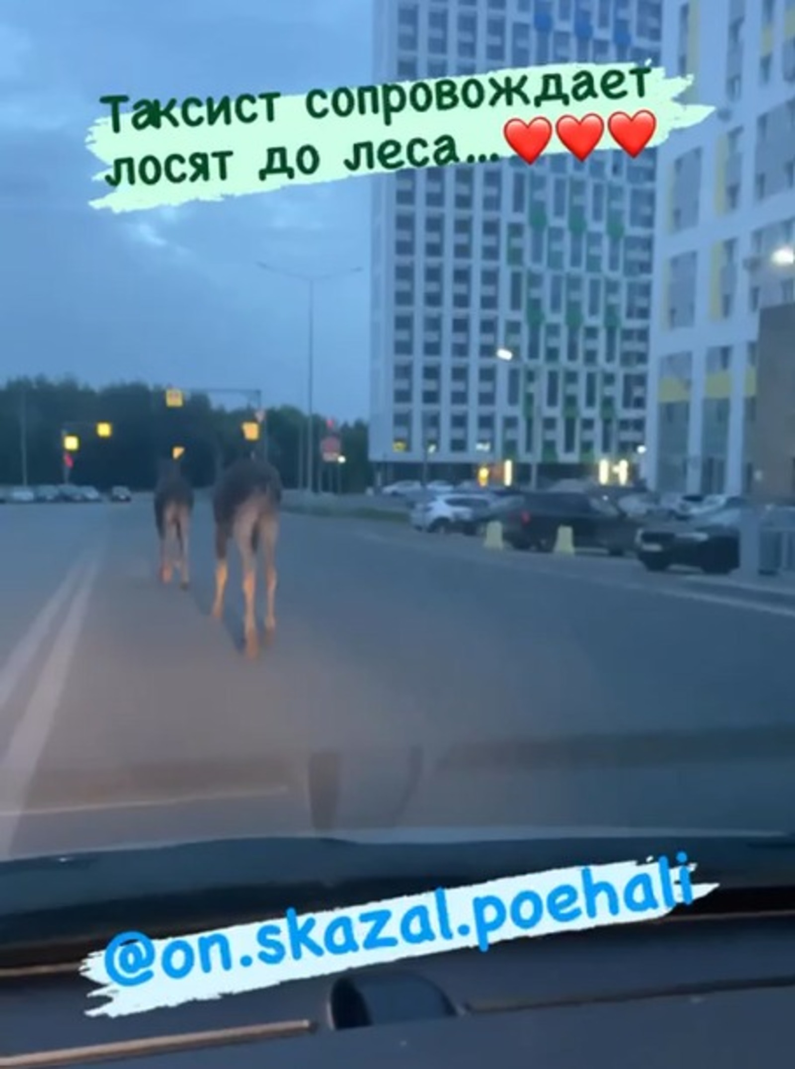 скриншот  видео