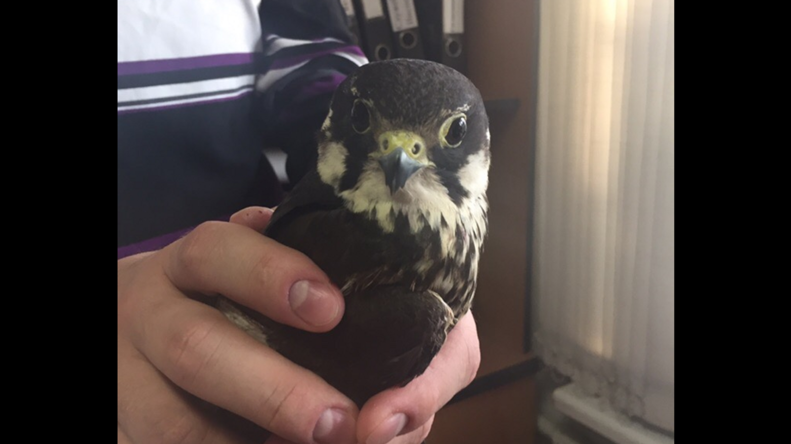 Минэкологии РБ