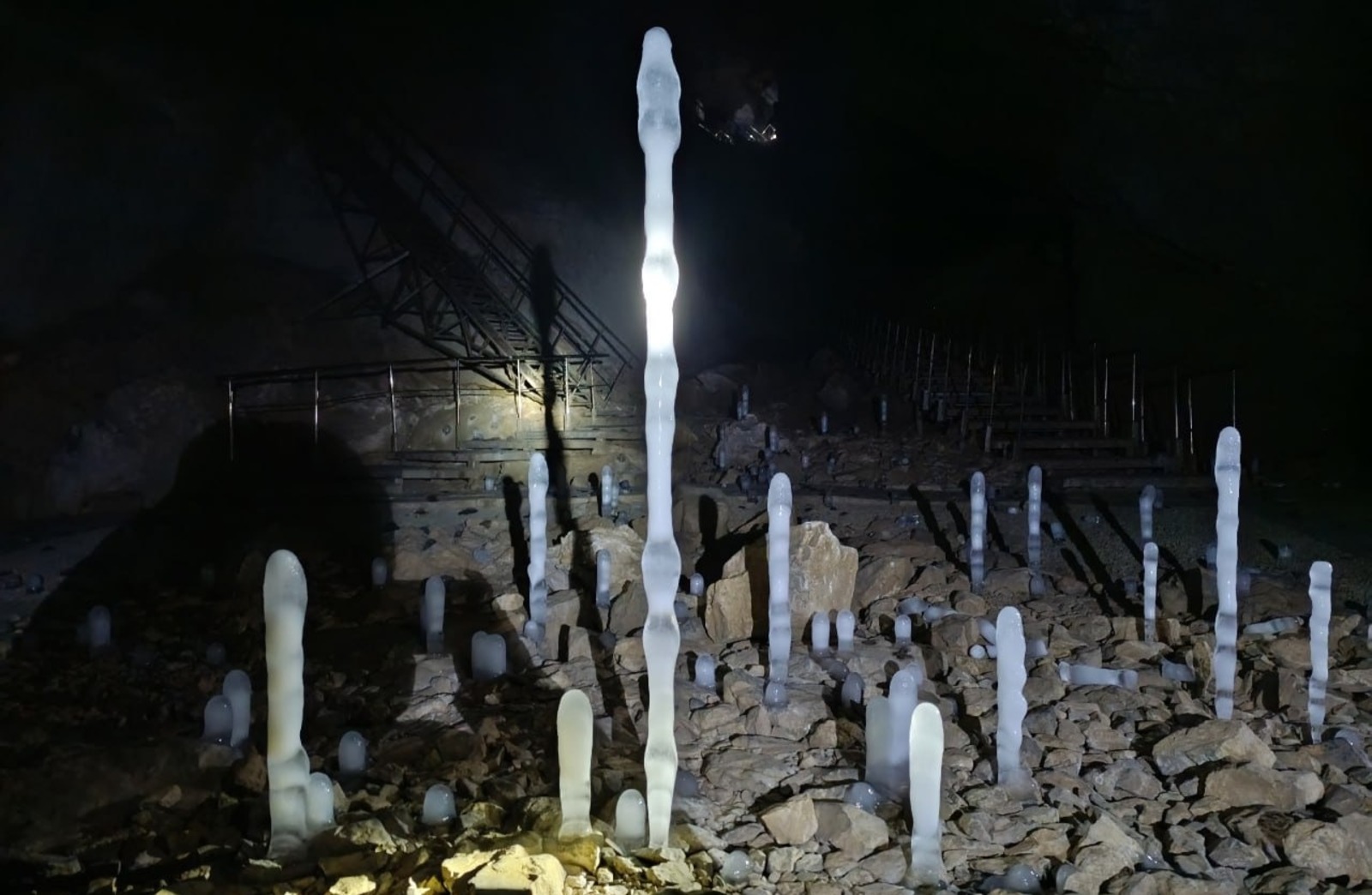 пресс-служба Государственный заповедник «Шульган-Таш»