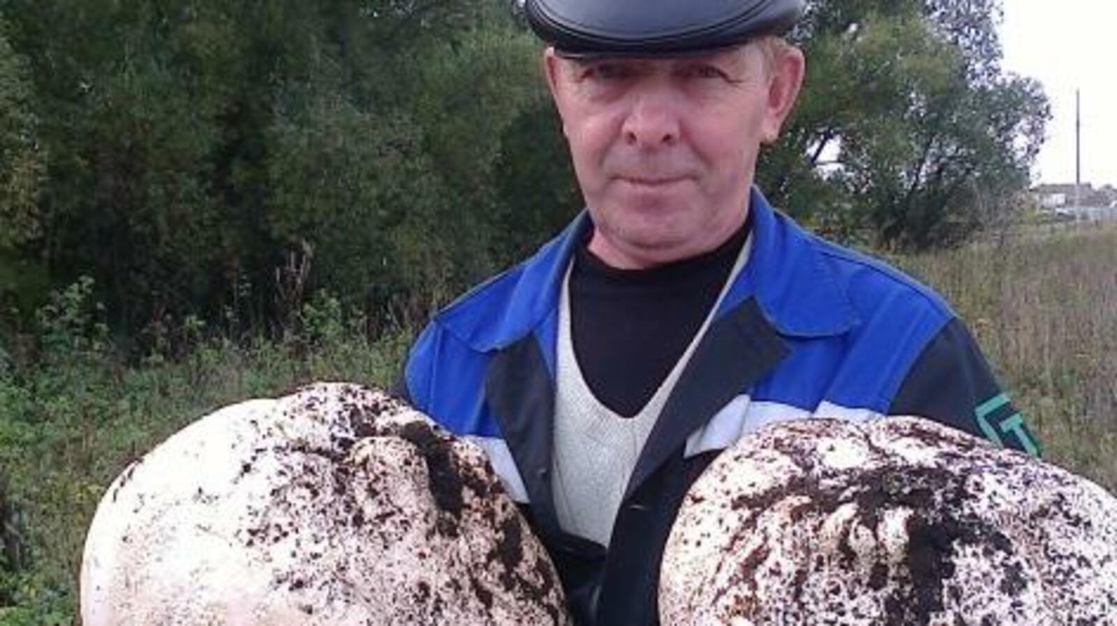 газета «Туймазинский вестник»