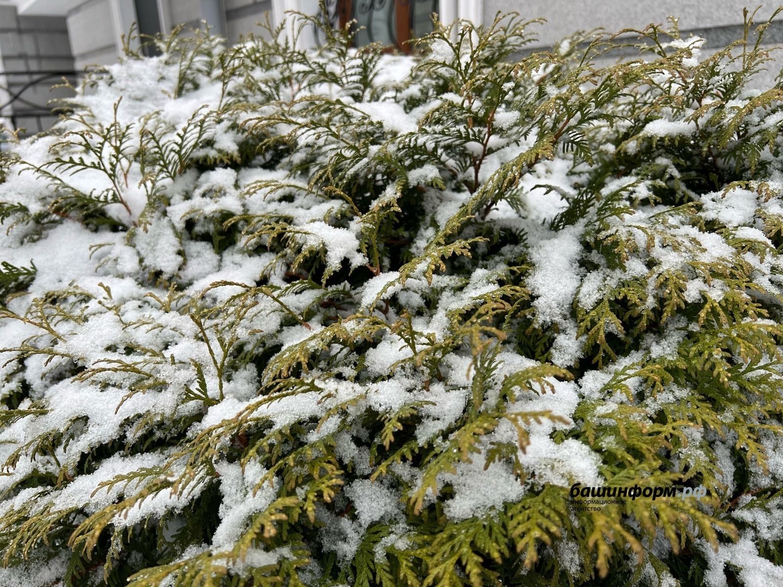 Ксения Калинина