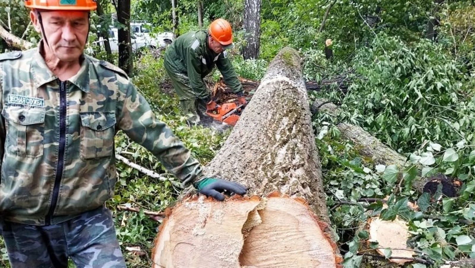 соцсети Арсена Латыпова