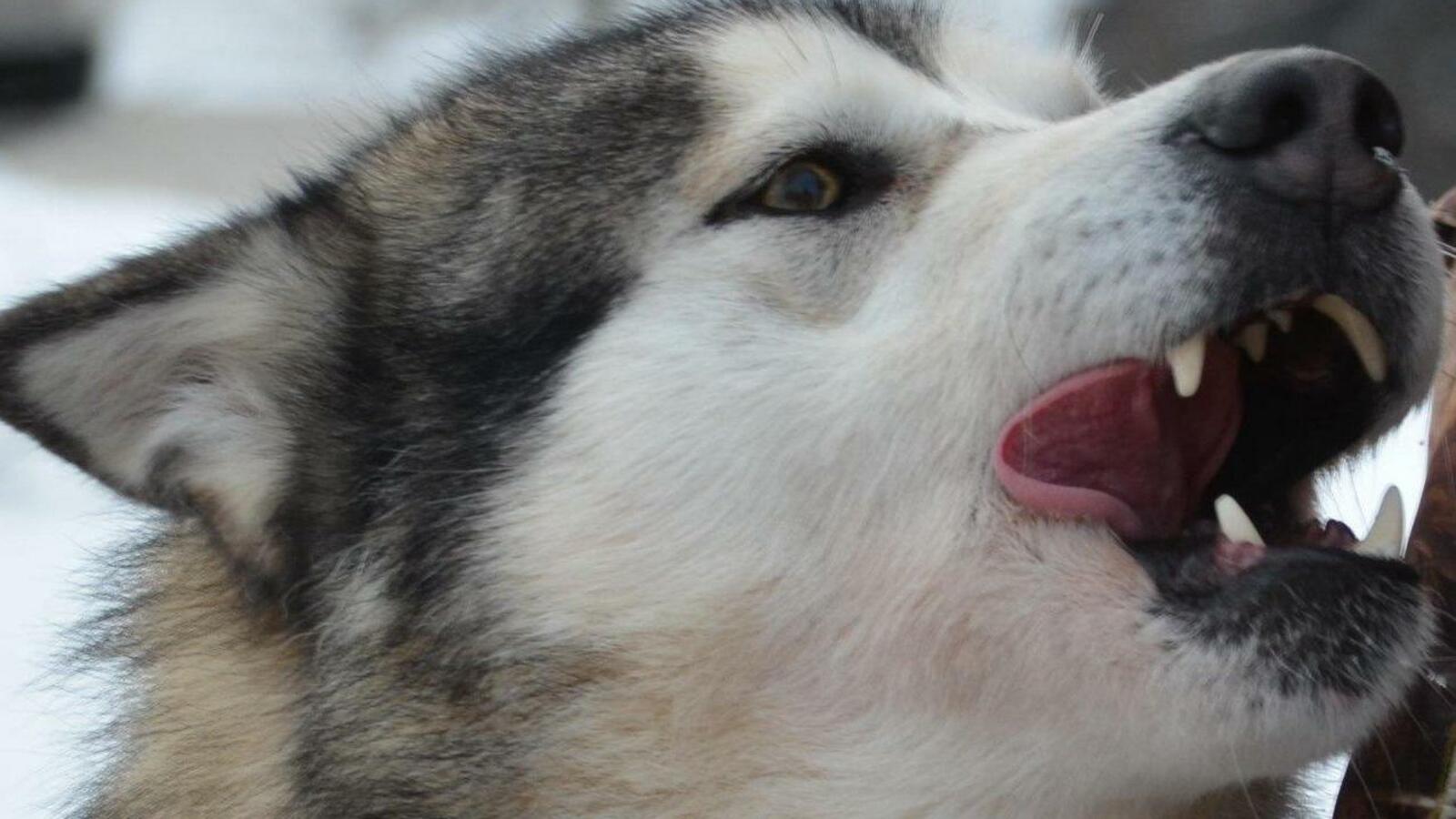 Ксения Калинина