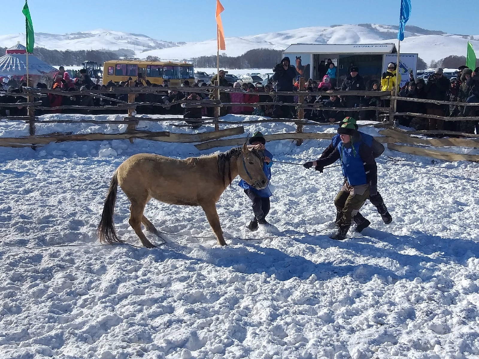 В Башкирии определили лучшего объездчика лошадей