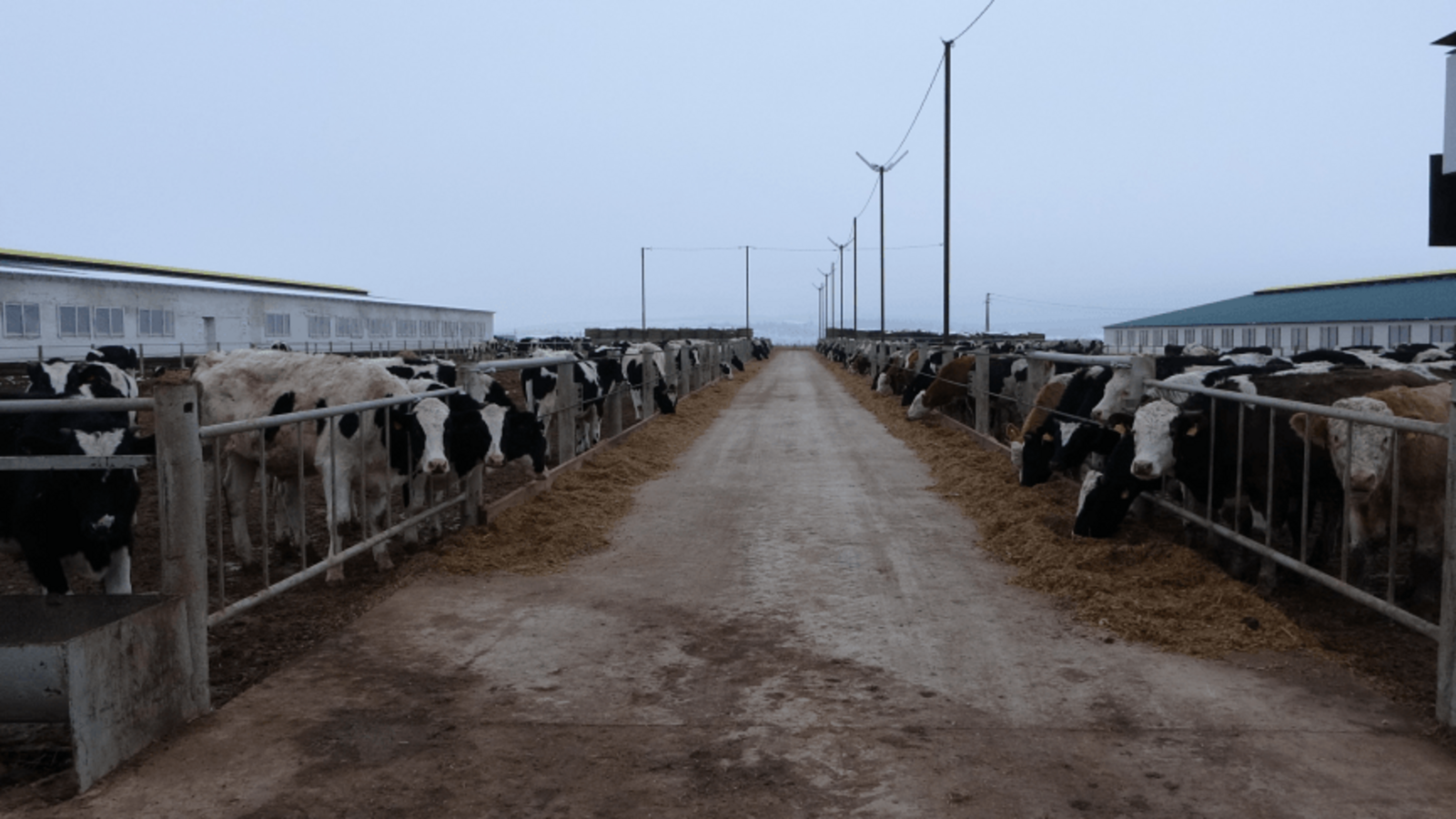 Минсельхоз РБ