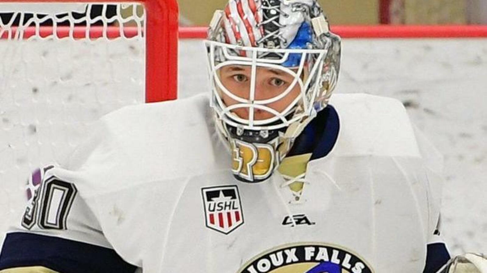 Из открытых источников