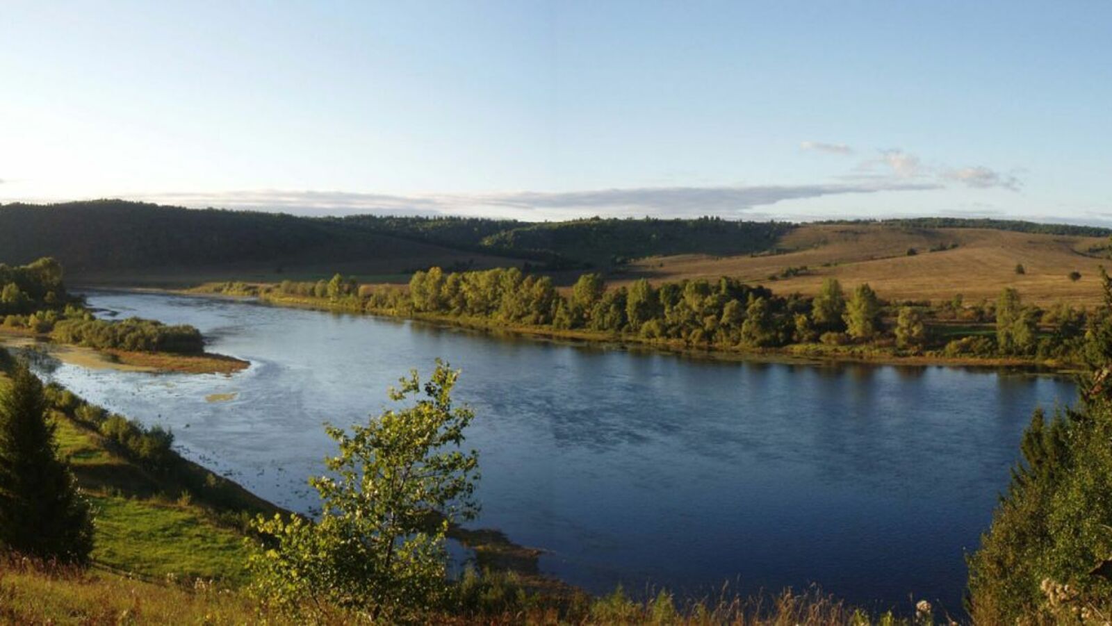 сайт Википедия