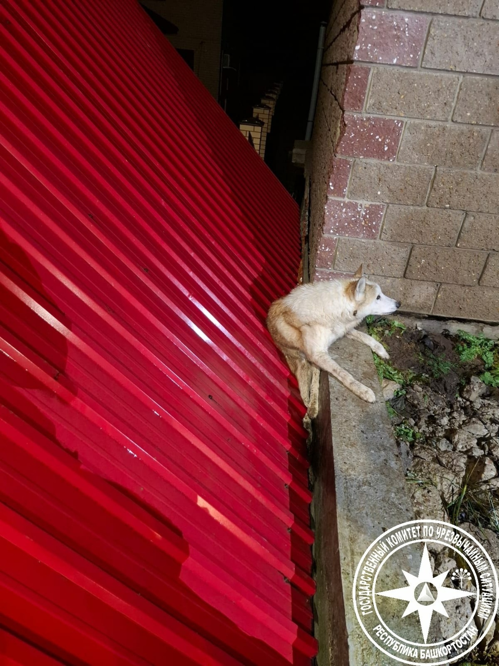 пресс-служба госкомитета РБ по ЧС