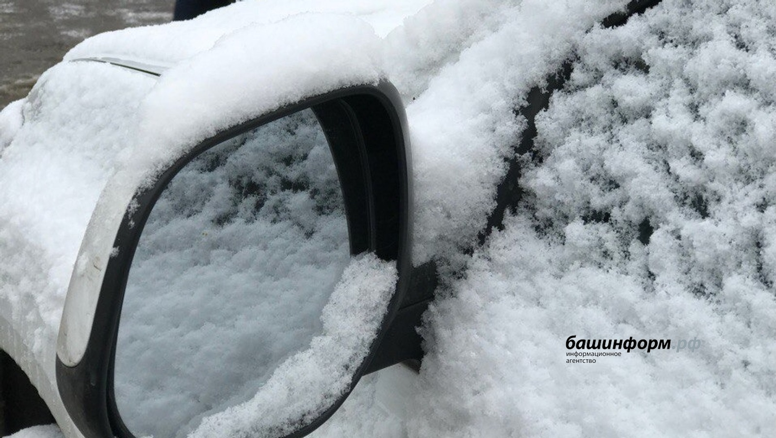 Ксения Калинина | «Башинформ» мәғлүмәт агентлығы архивы