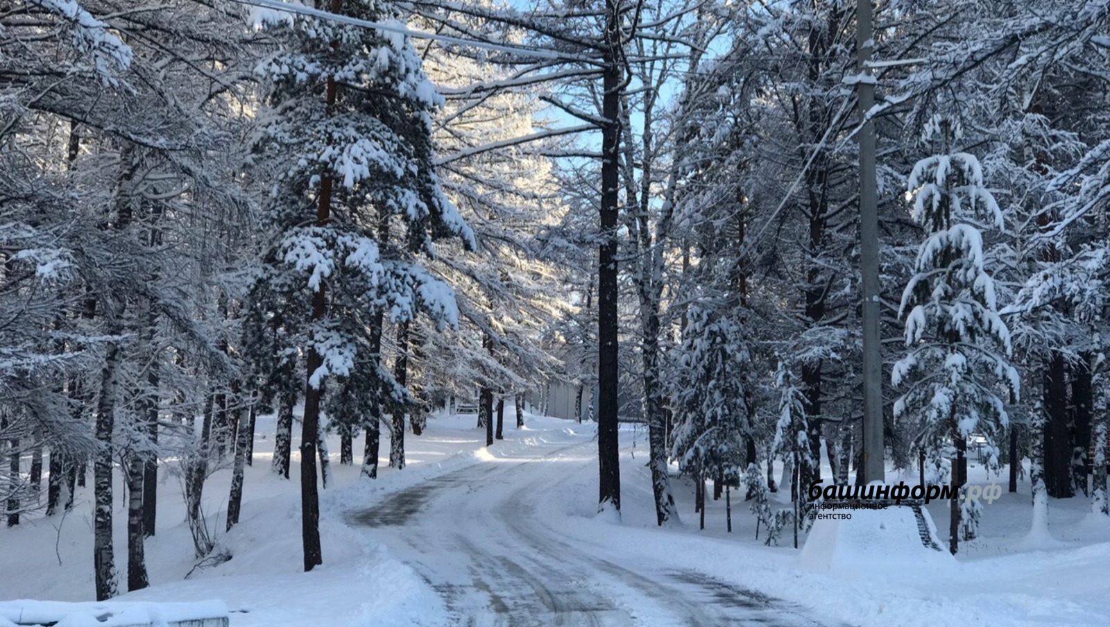 Ксения Калинина ИА Башинформ