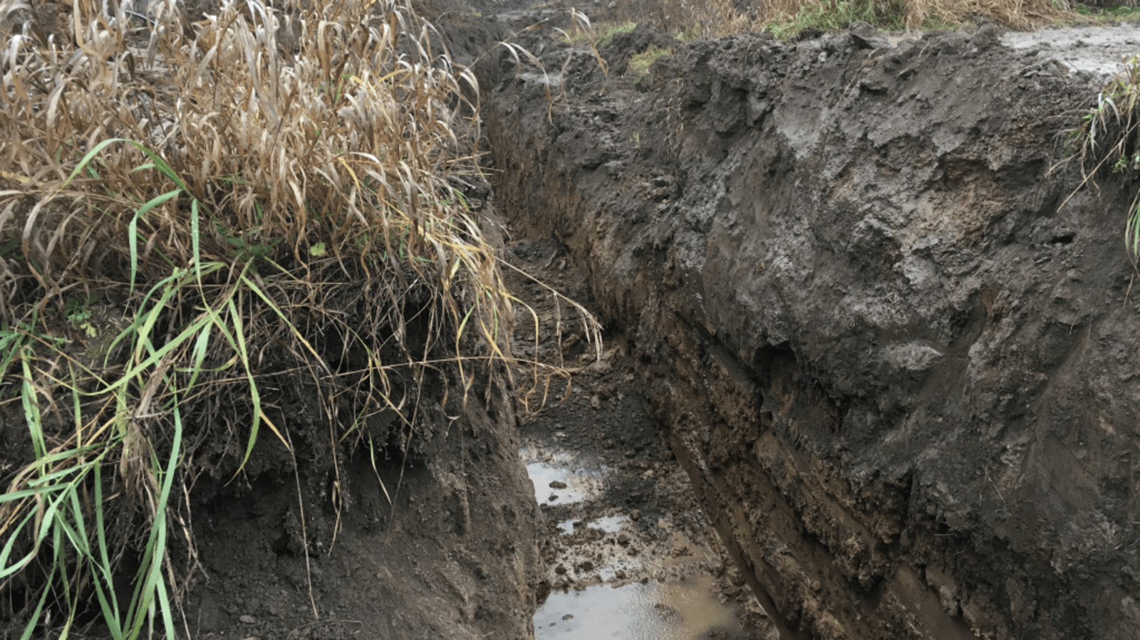 Госкомитет РБ по ЧС
