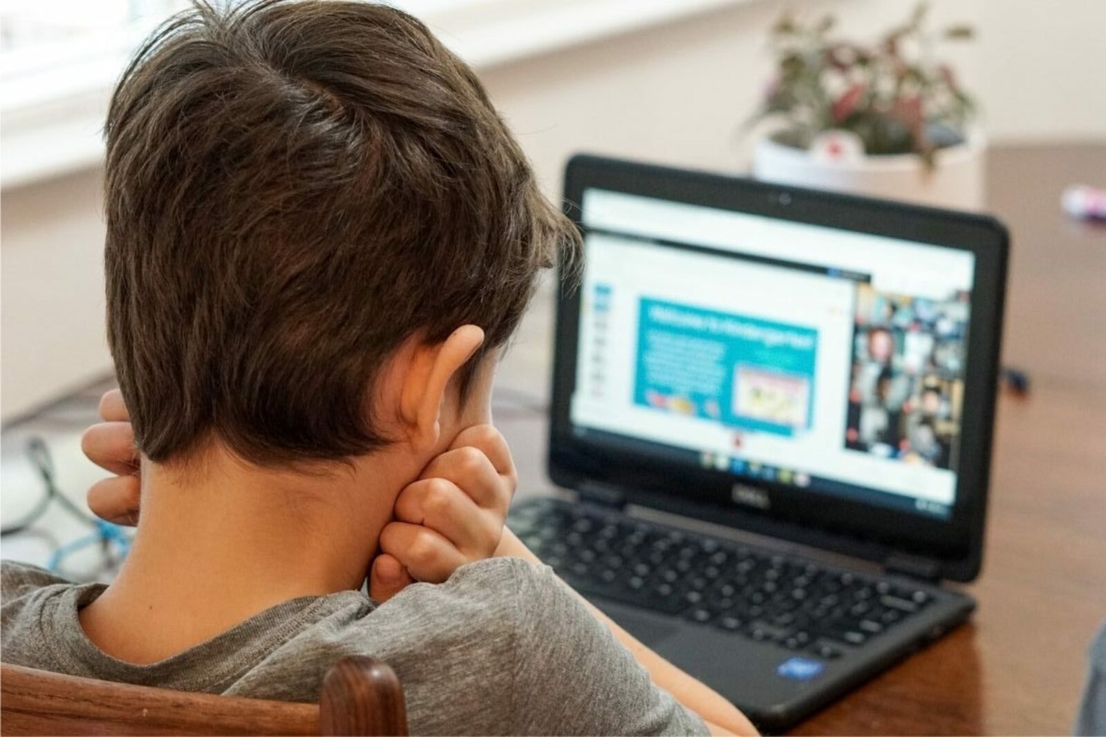 Эксперт из Башкортостана: Интернет может стать ловушкой для детей, из которой не все смогут выбраться без помощи психолога