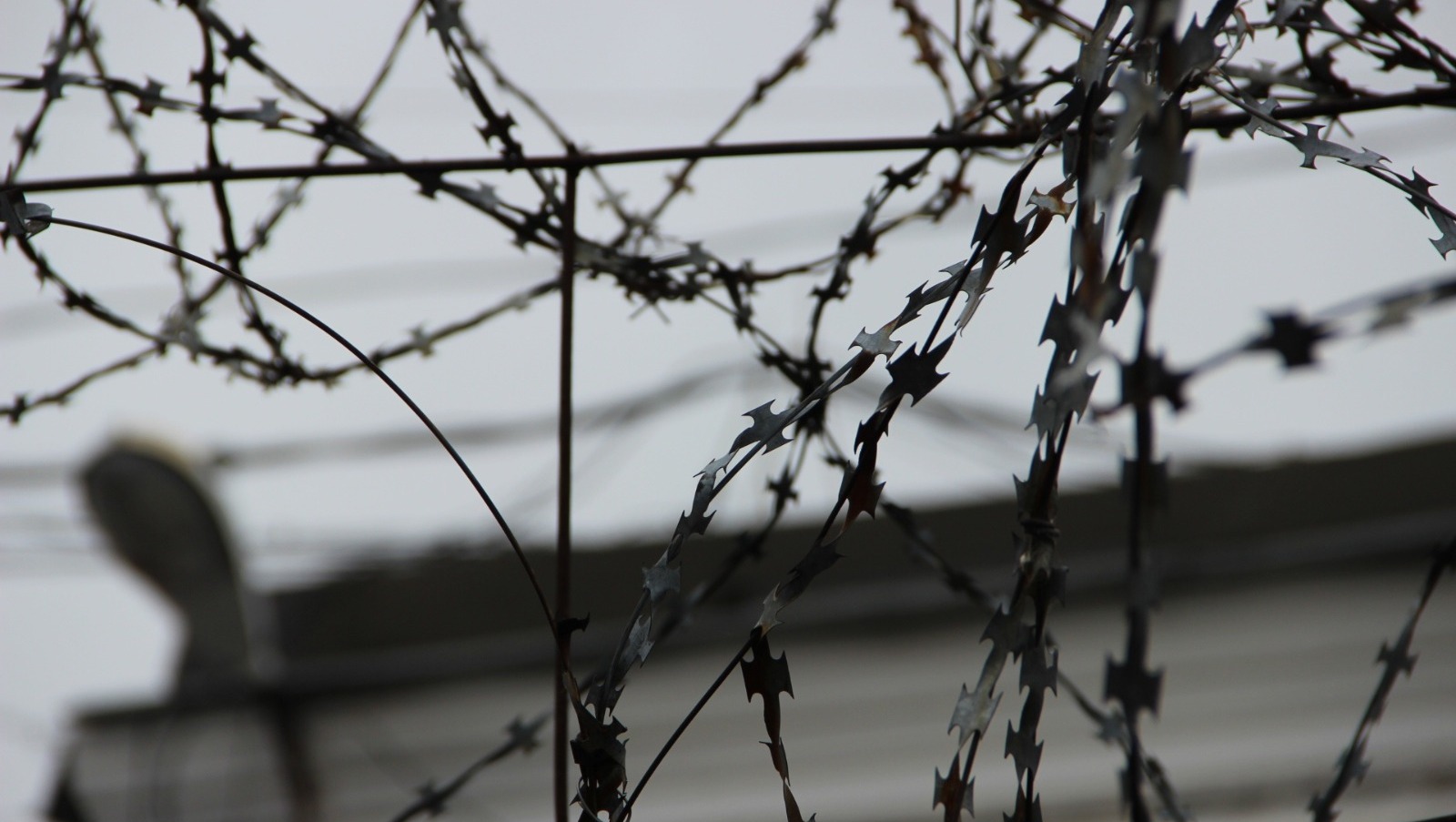 Ксения Калинина