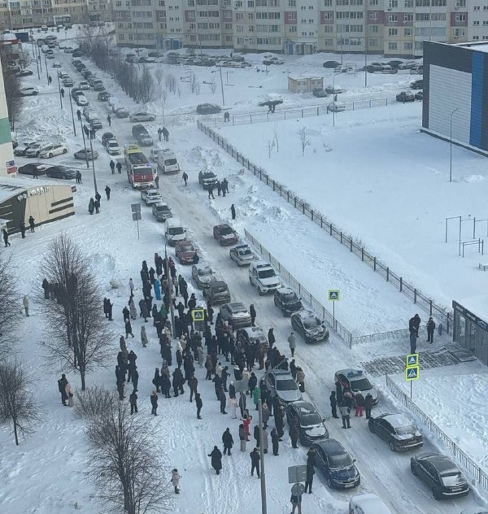 Екатерина Мизулина телеграм