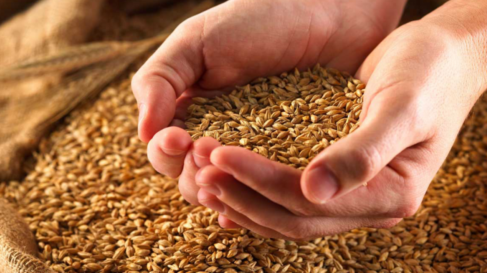 Минсельхоз РБ