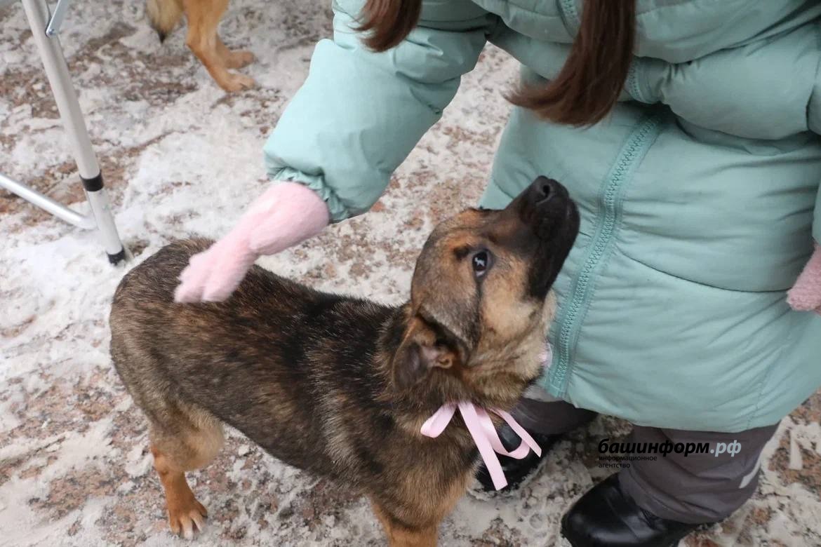 пресс-служба администрация Уфы