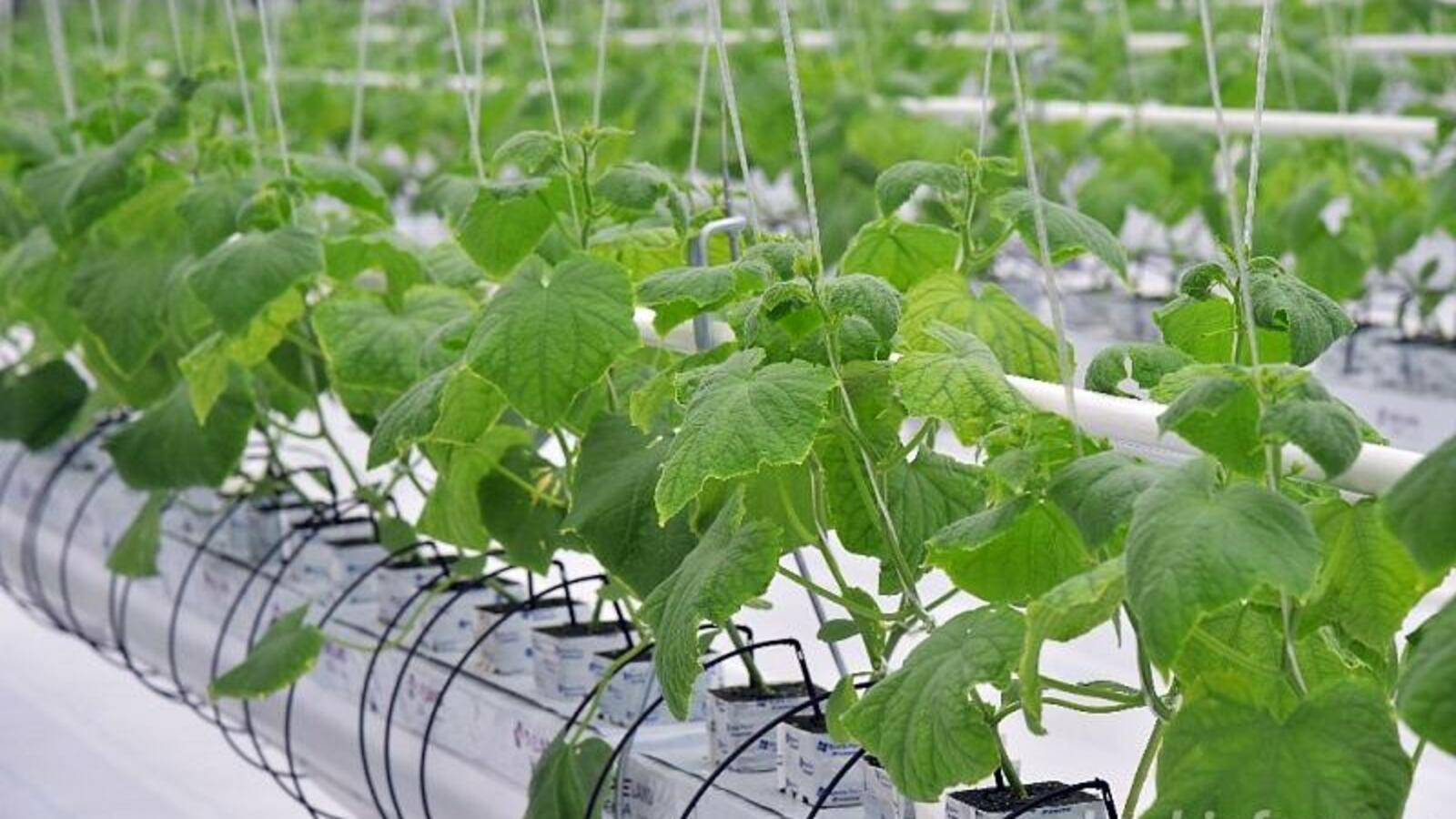 пресс-служба Главы РБ