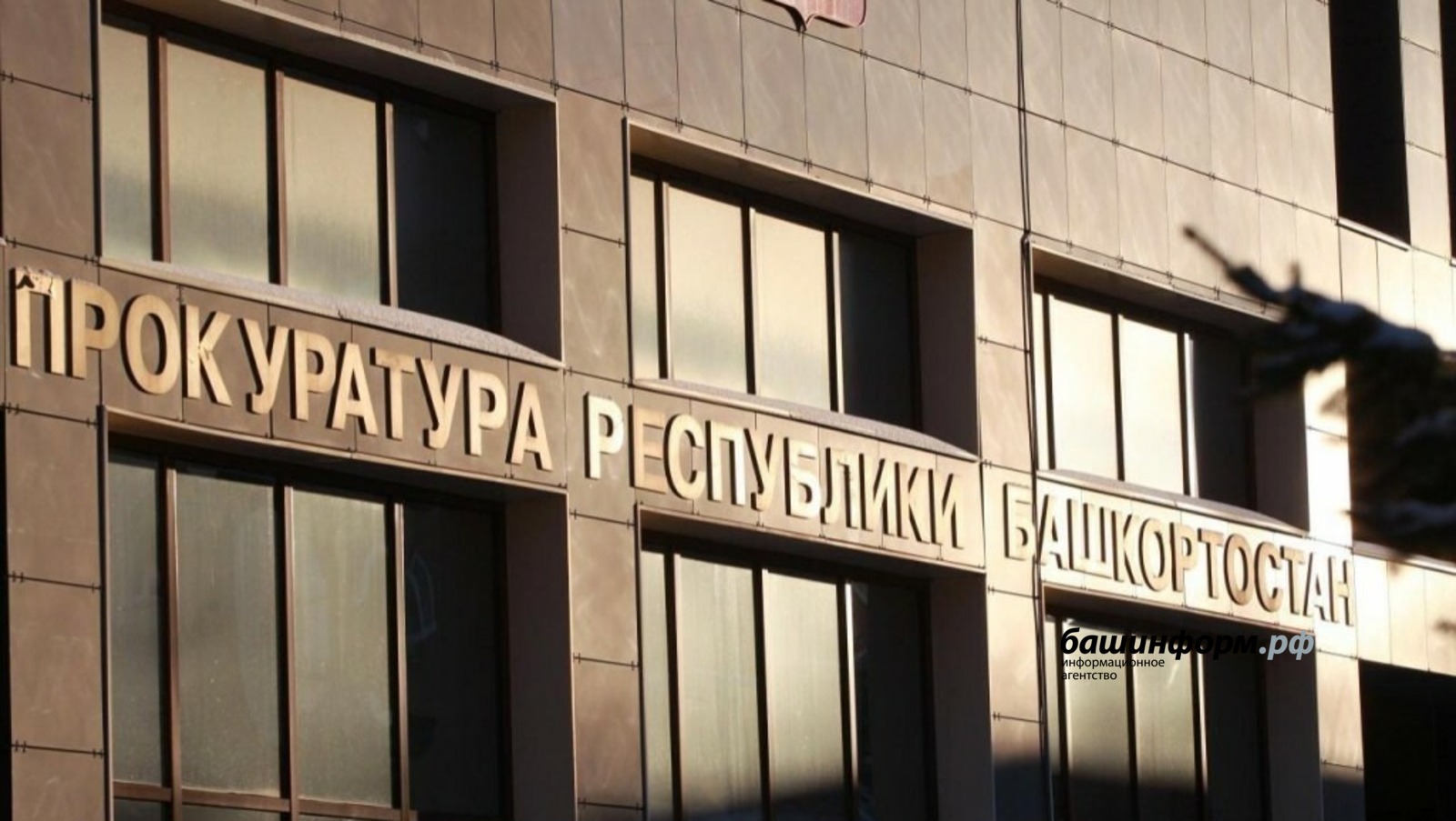 Ксения Калинина
