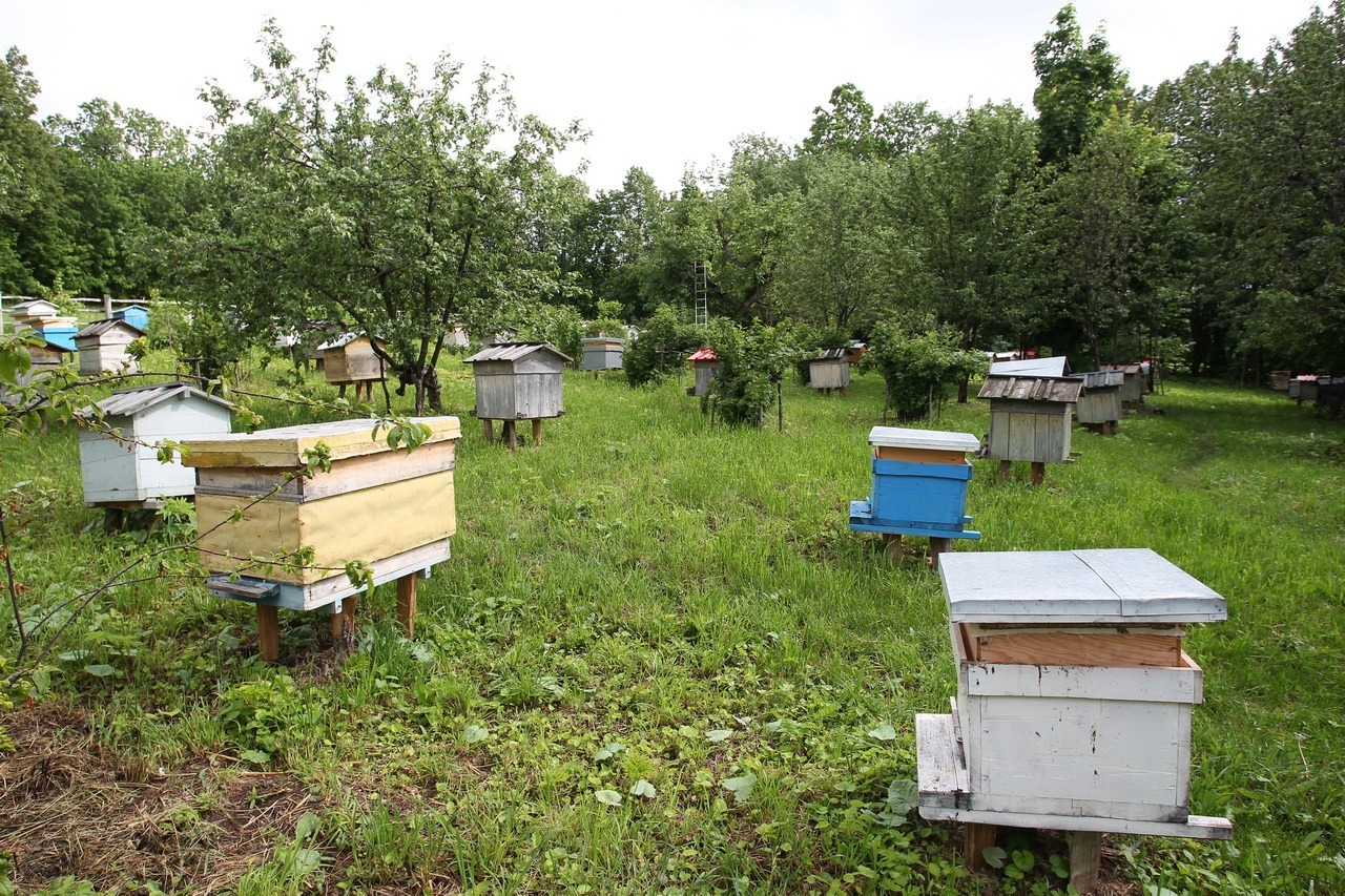 Олег Яровиков