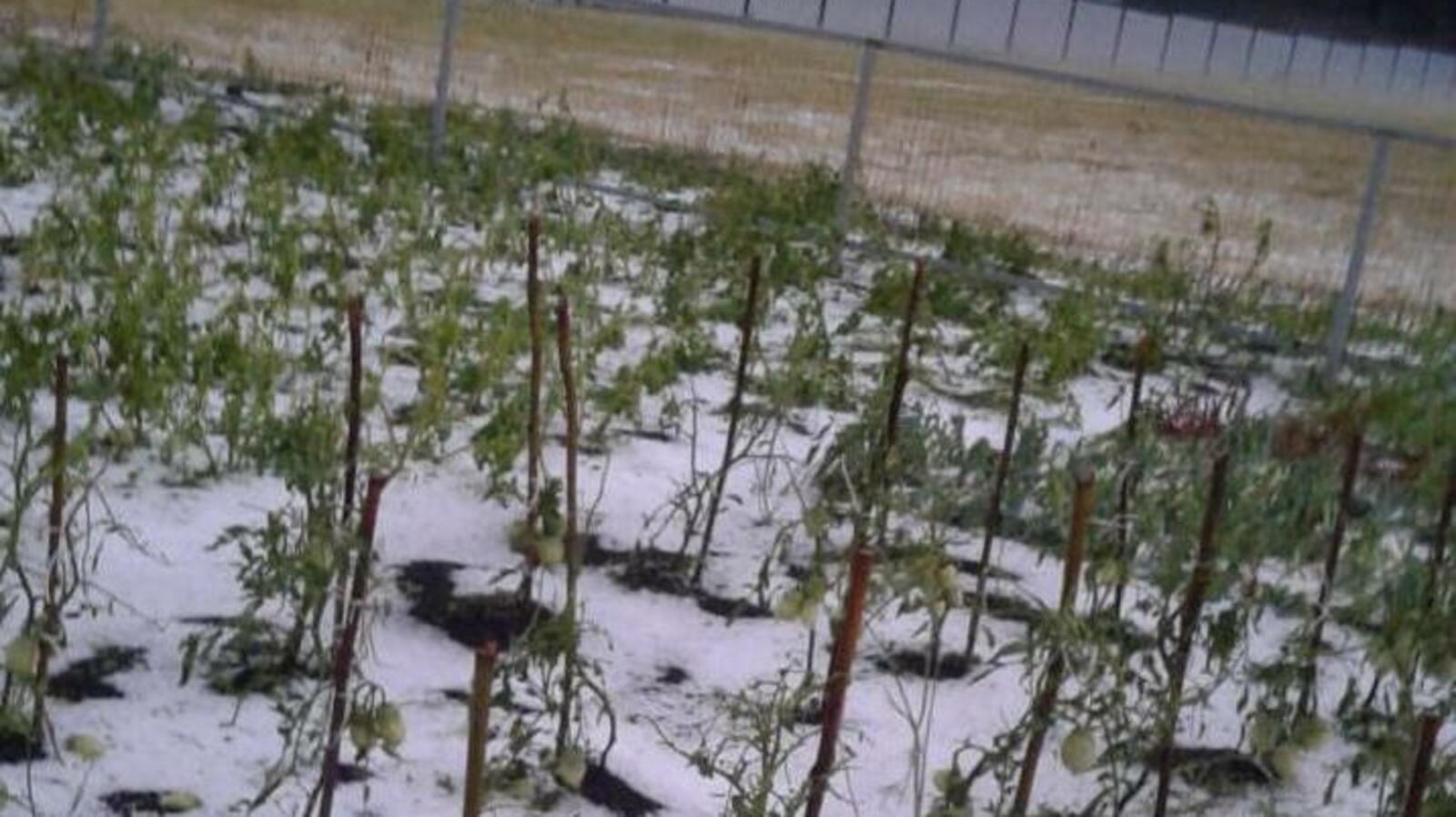 ИА «Башинформ»