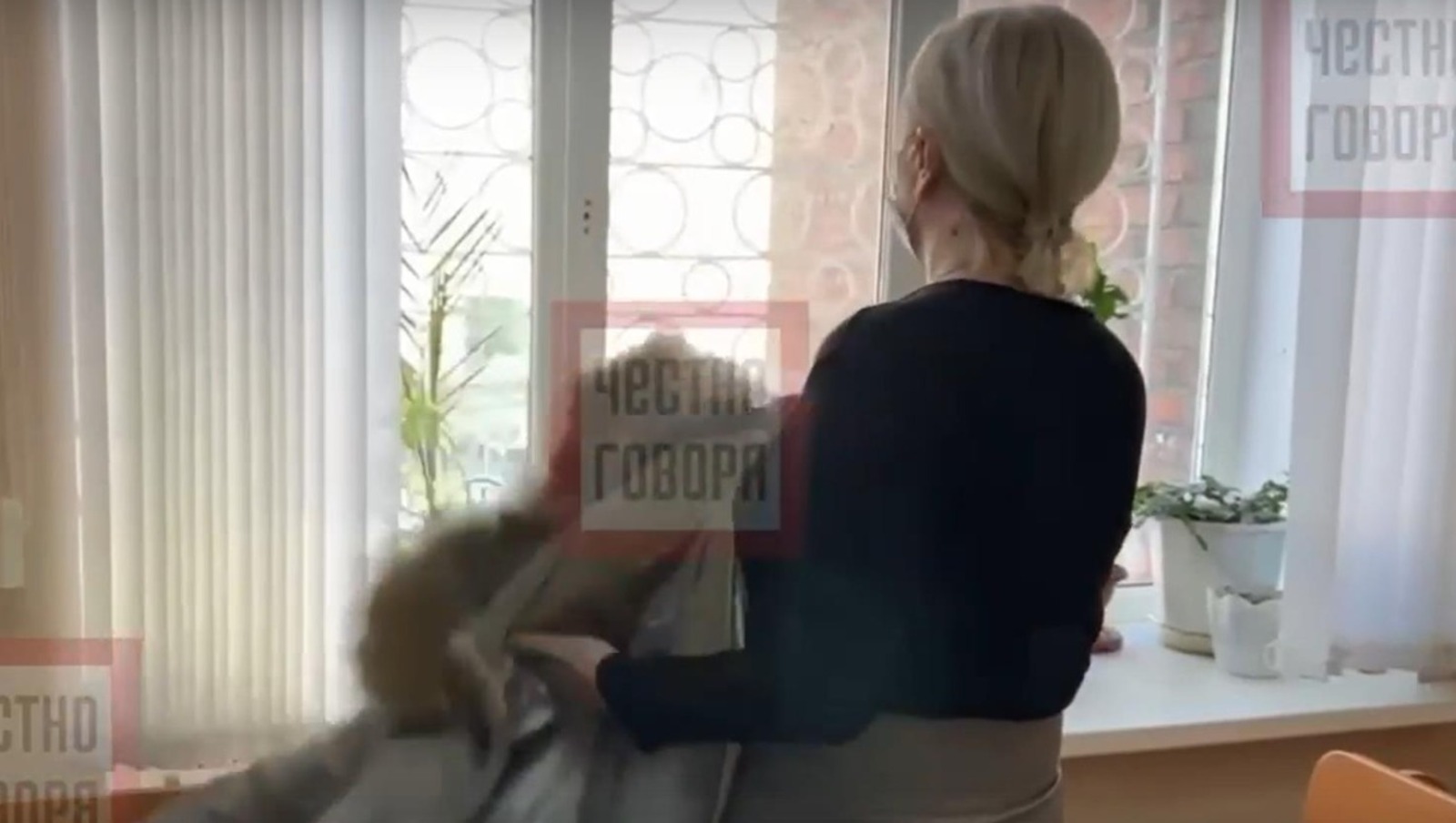 стоп-кадр видео «Честно говоря»