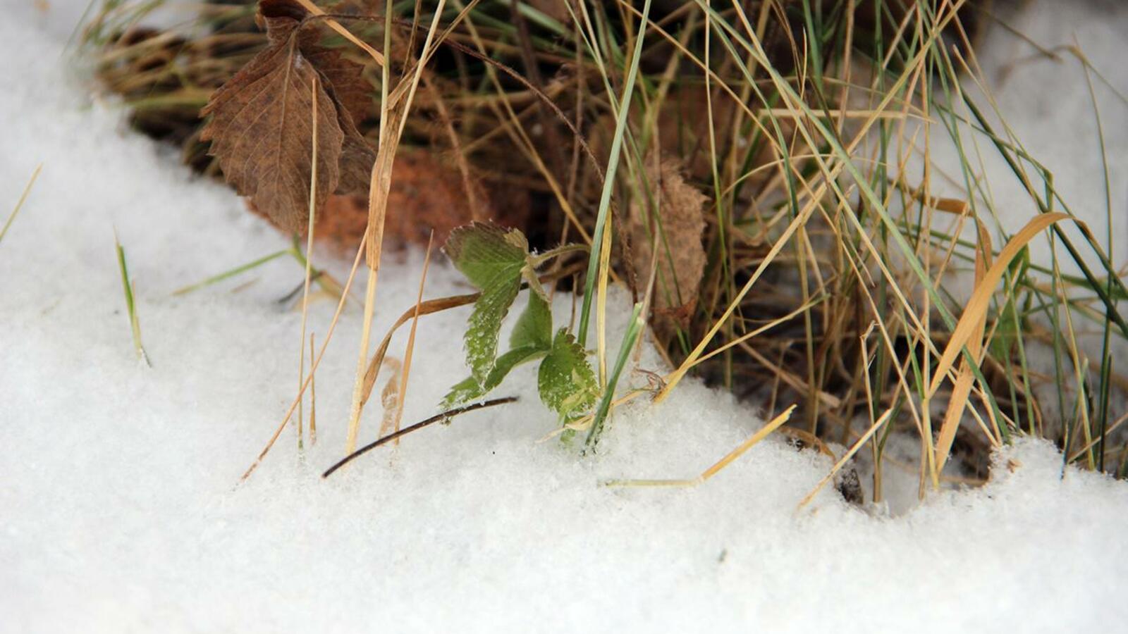 ИА «Башинформ»