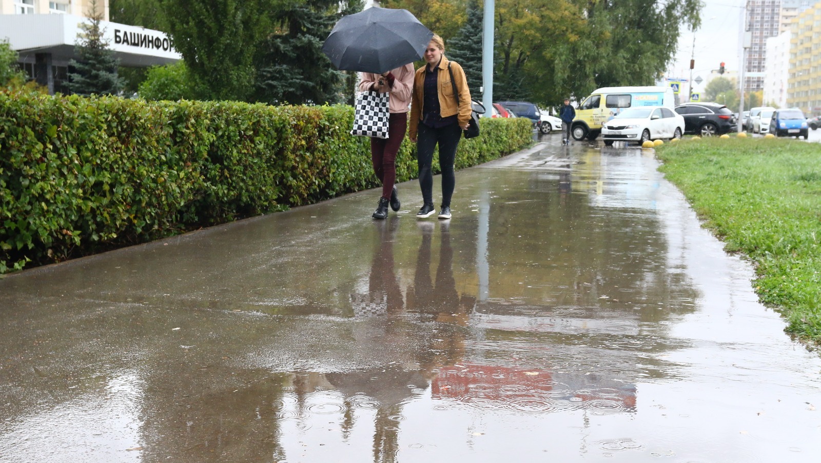 Валерий Шахов