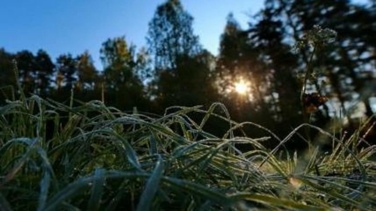 МЧС по Башкирии