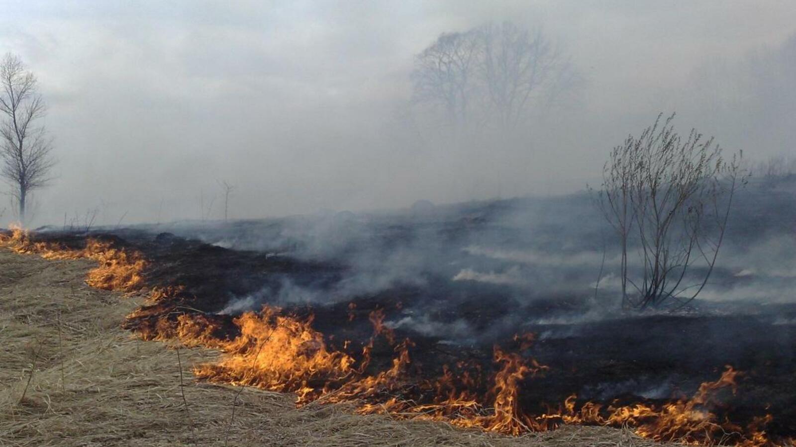 ИА «Башинформ»