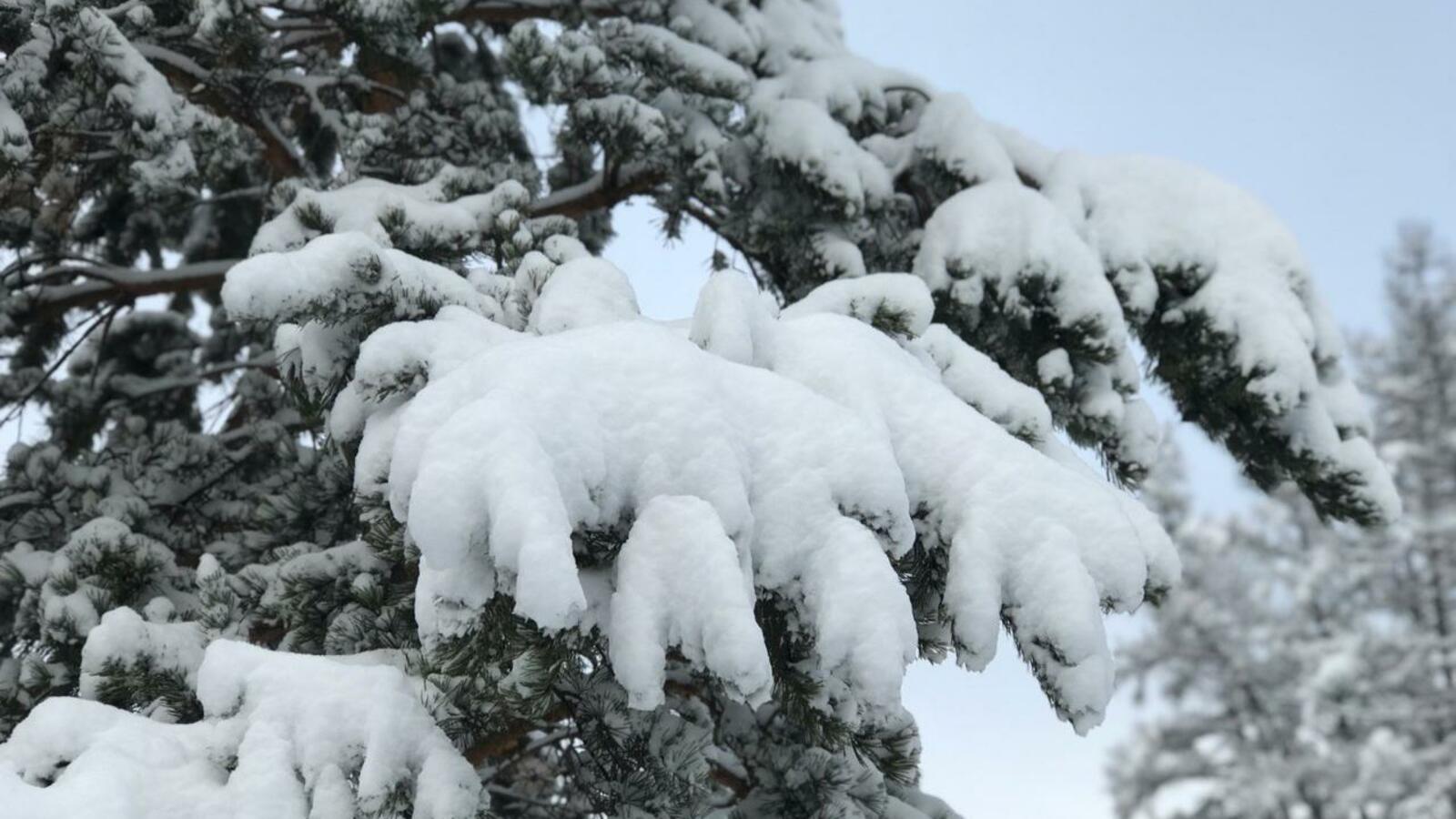 Ксения Калинина