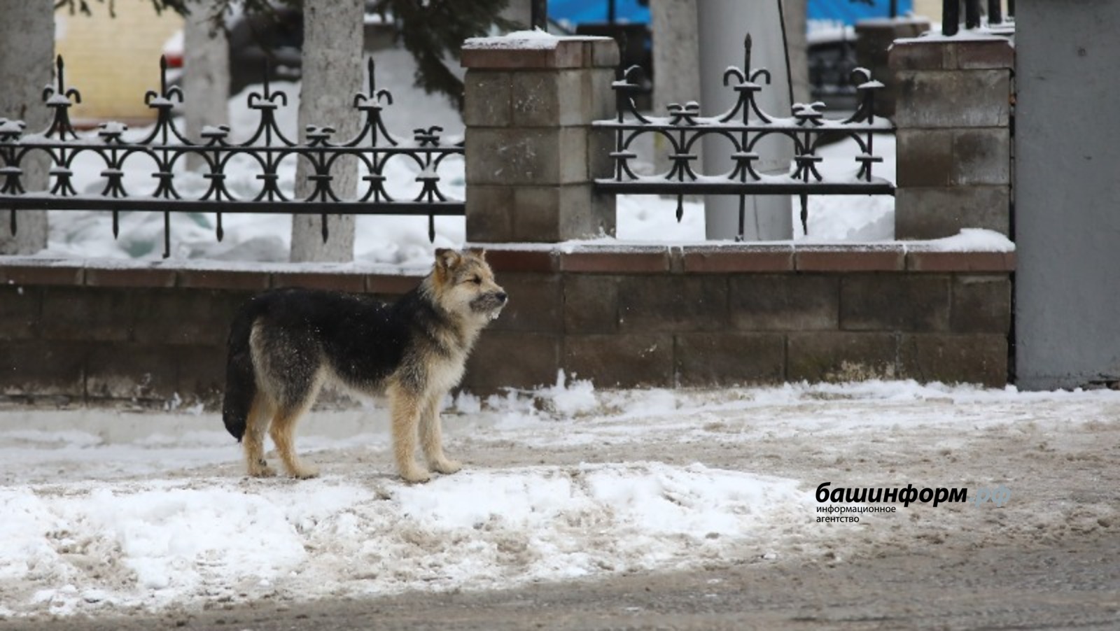Валерий Шахов