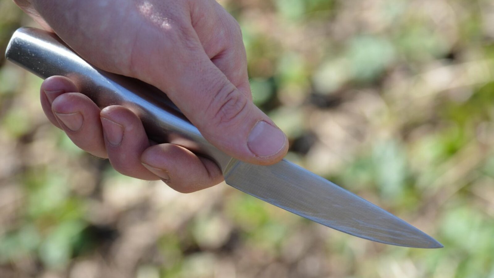 Ксения Калинина