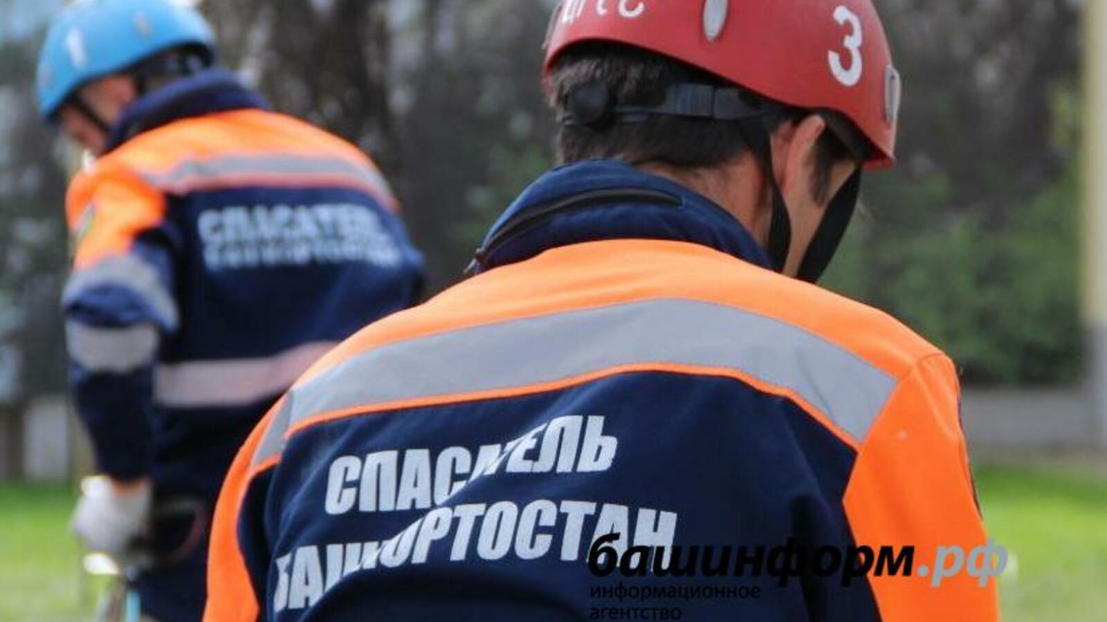 Ксения Калинина