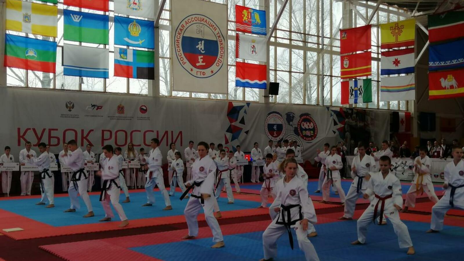 Федерация тхэквондо РБ