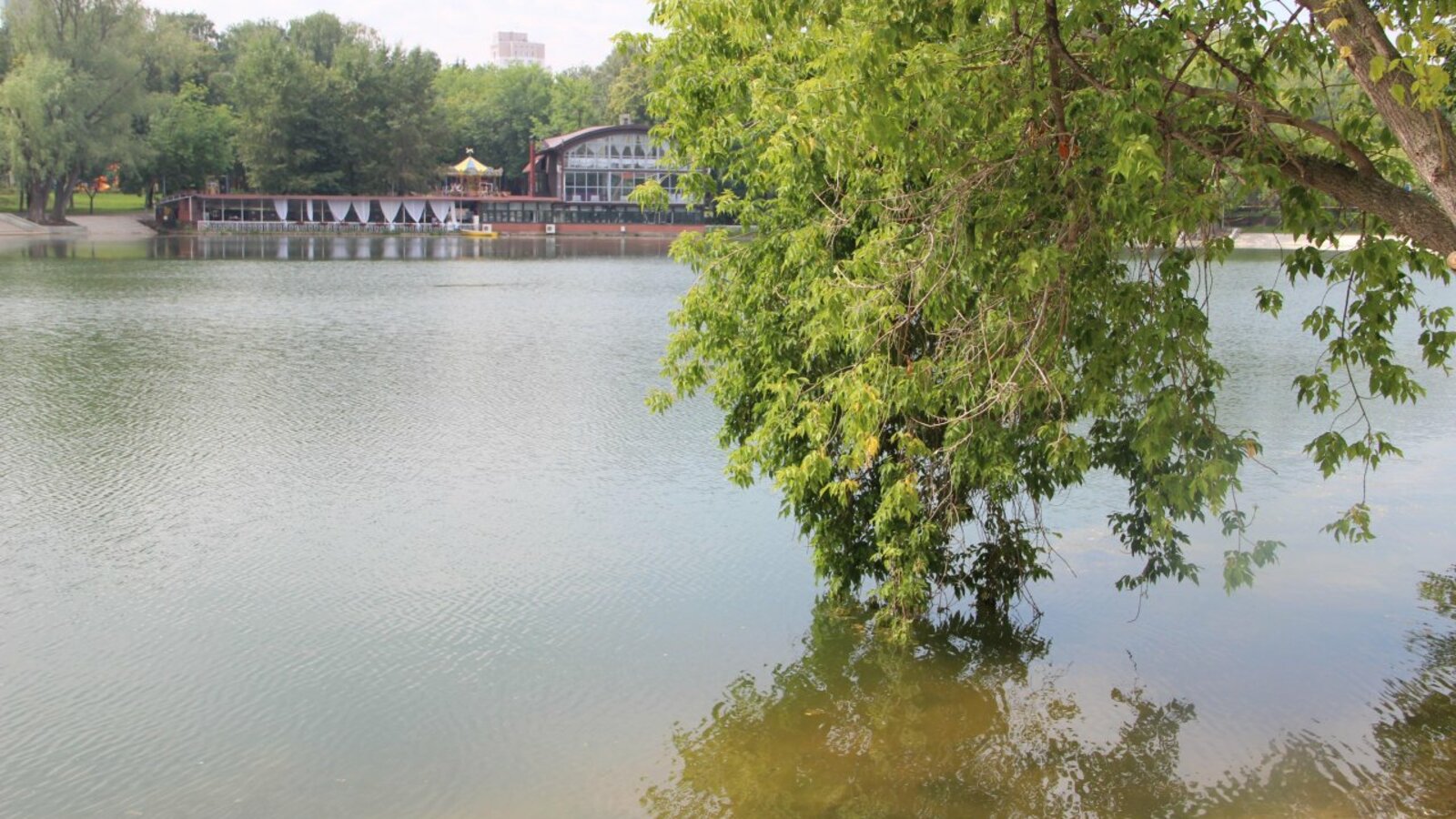 Ксения Калинина