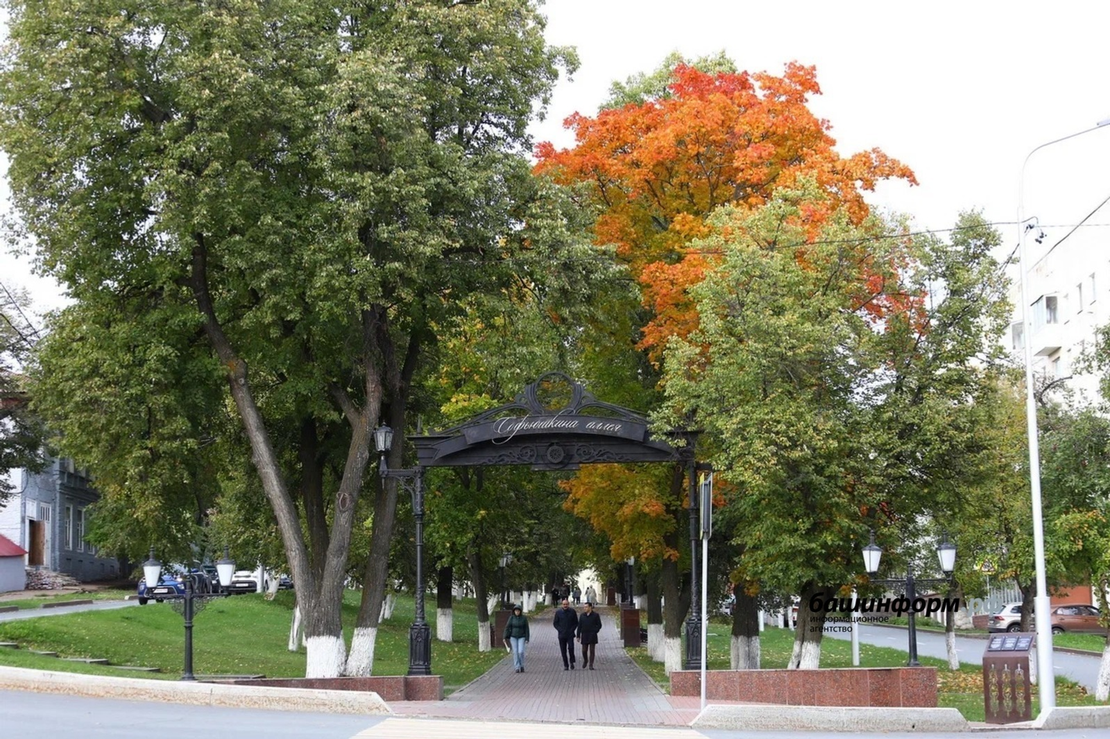 Валерий Шахов