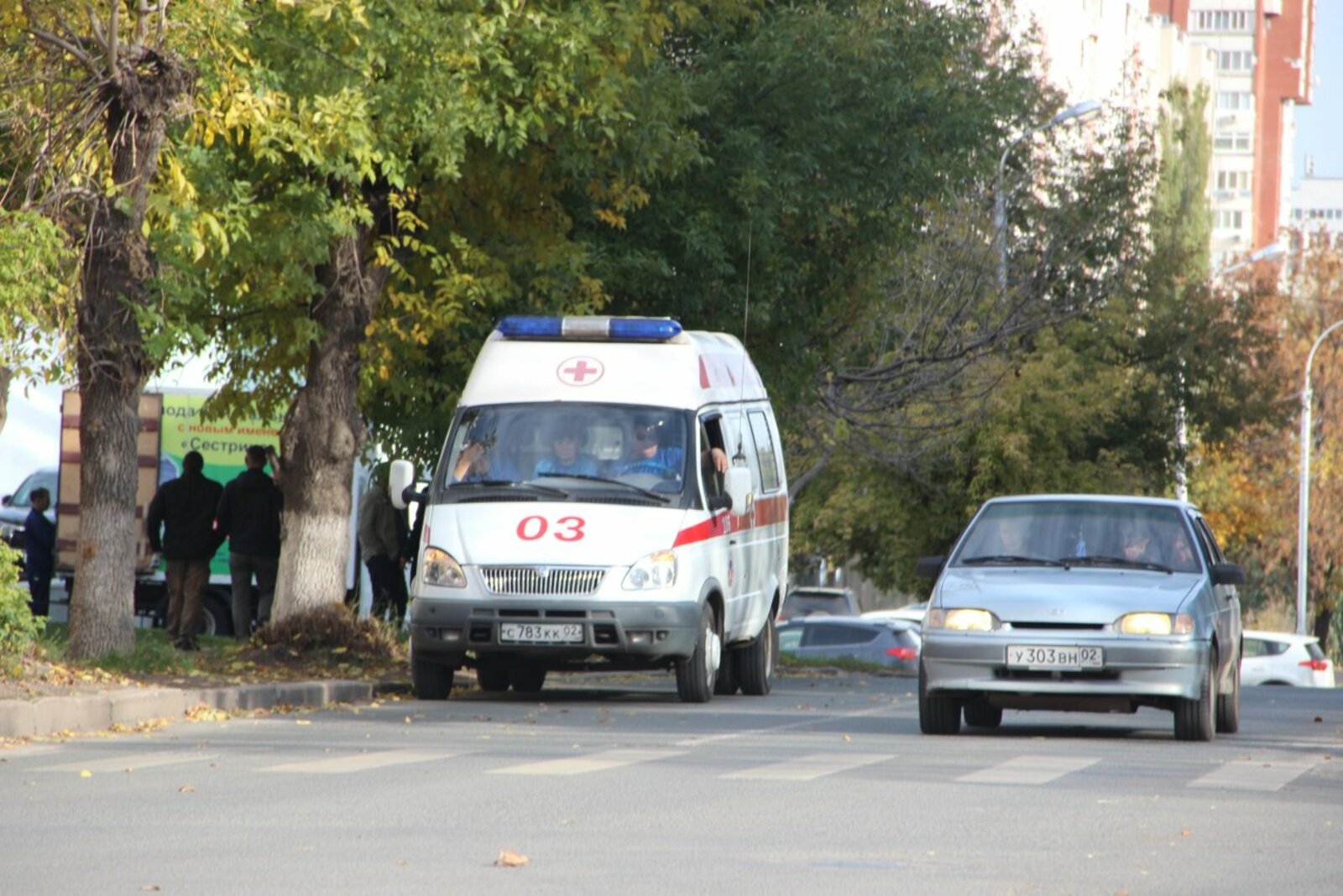автор