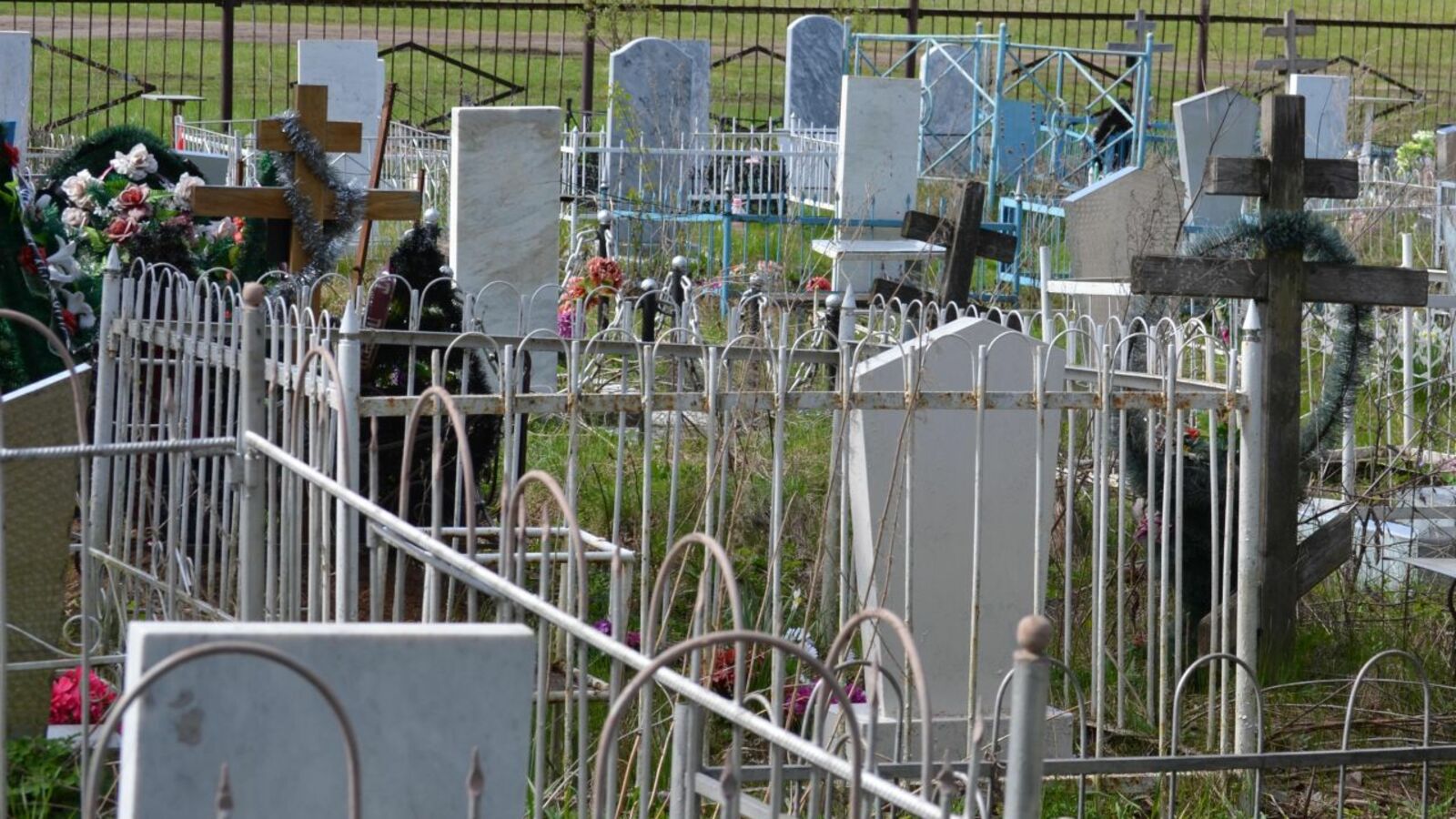 Ксения Калинина