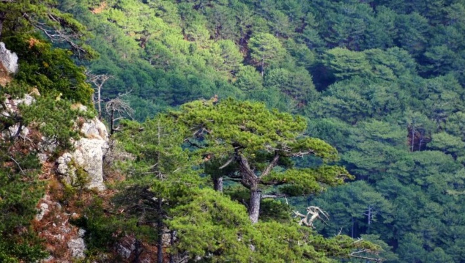 архив ИА "Башинформ"