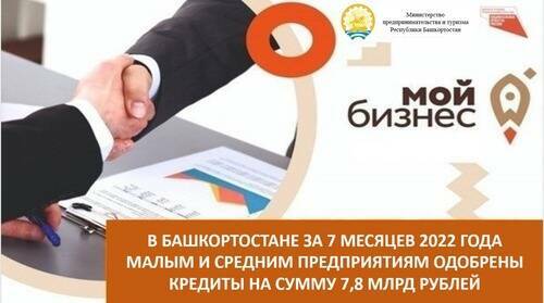 В Башкортостане за 7 месяцев 2022 года малым и средним предприятиям одобрены кредиты на сумму 7,8 млрд рублей