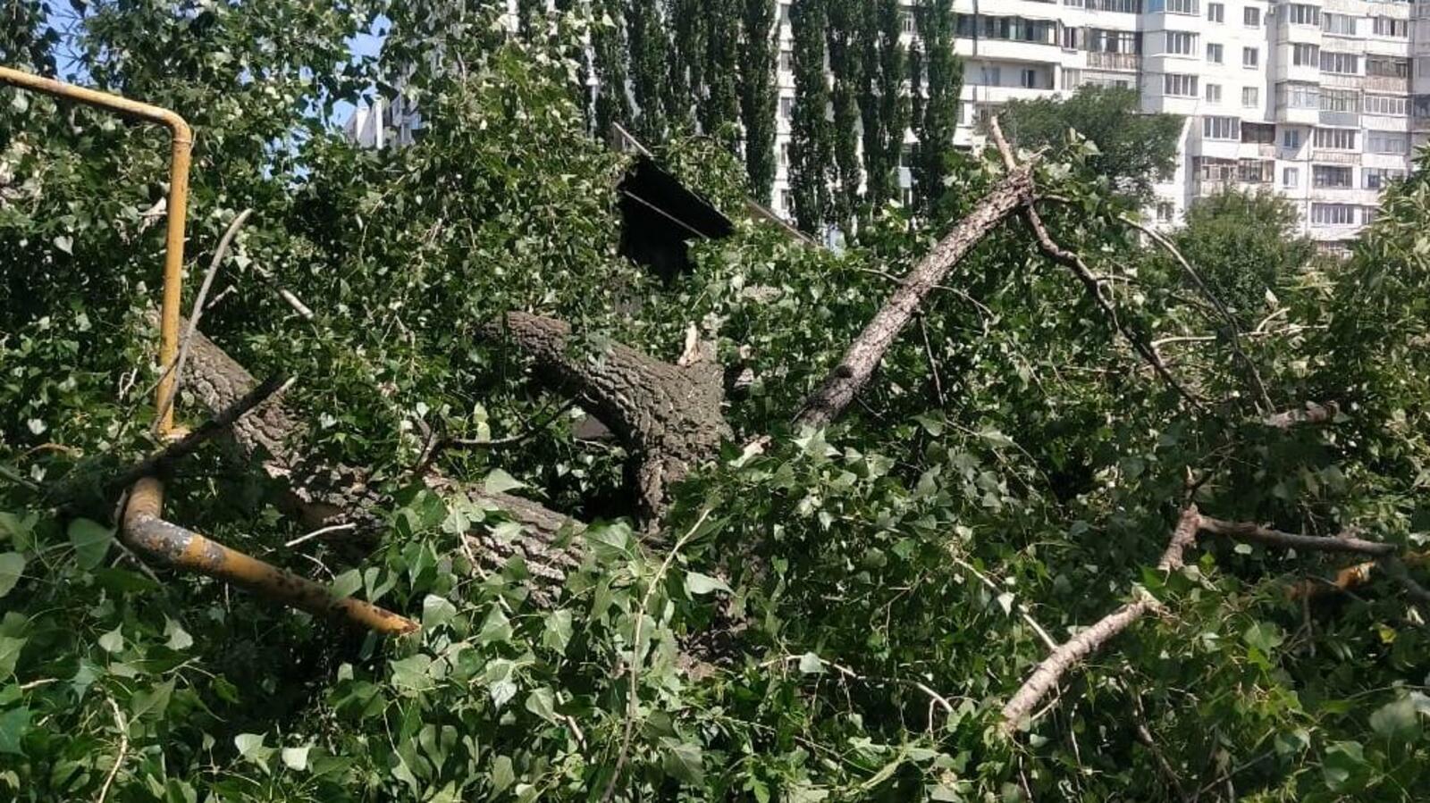 Управление гражданской защиты населения